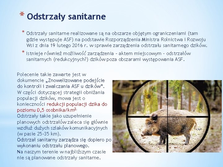 * Odstrzały sanitarne realizowane są na obszarze objętym ograniczeniami (tam gdzie występuje ASF) na