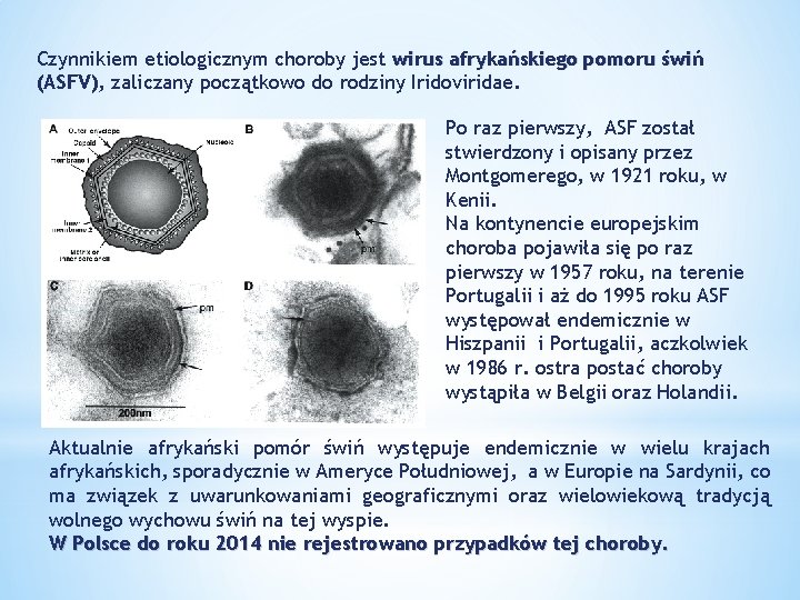 Czynnikiem etiologicznym choroby jest wirus afrykańskiego pomoru świń (ASFV), zaliczany początkowo do rodziny Iridoviridae.