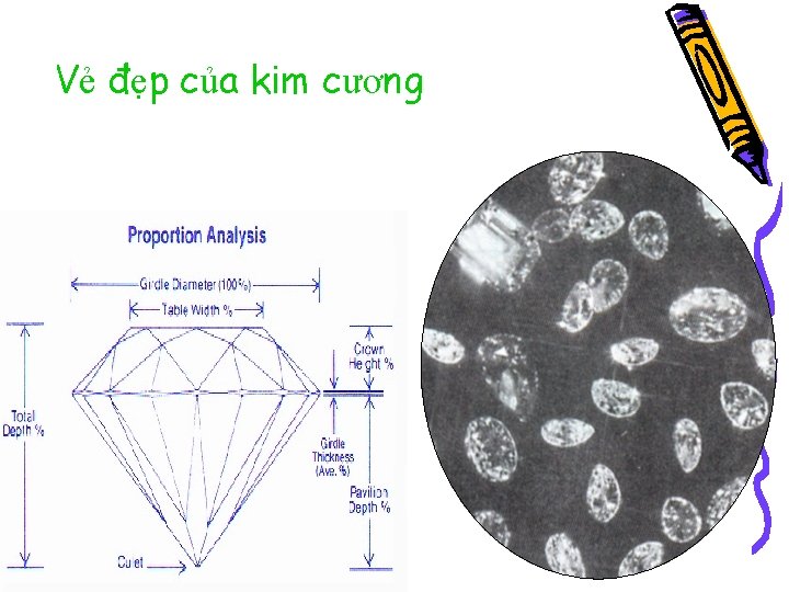 Vẻ đẹp của kim cương 