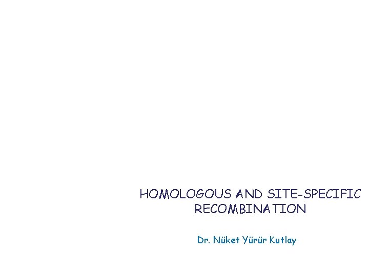 HOMOLOGOUS AND SITE-SPECIFIC RECOMBINATION Dr. Nüket Yürür Kutlay 