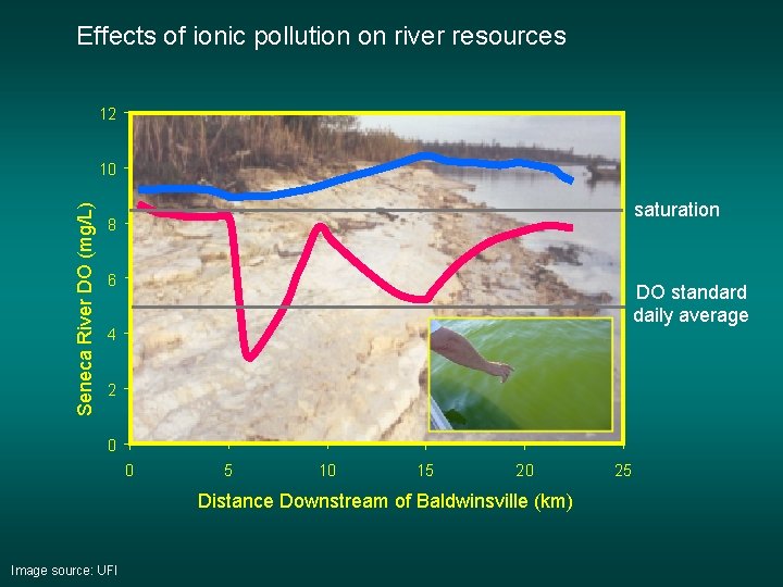 Effects of ionic pollution on river resources 12 Seneca River DO (mg/L) 10 saturation Effects of ionic pollution on river resources 12 Seneca River DO (mg/L) 10 saturation
