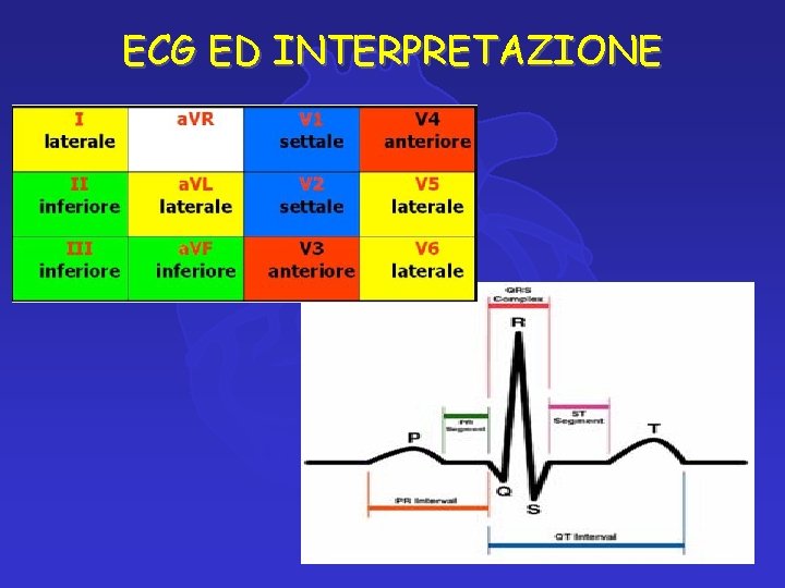 ECG ED INTERPRETAZIONE 