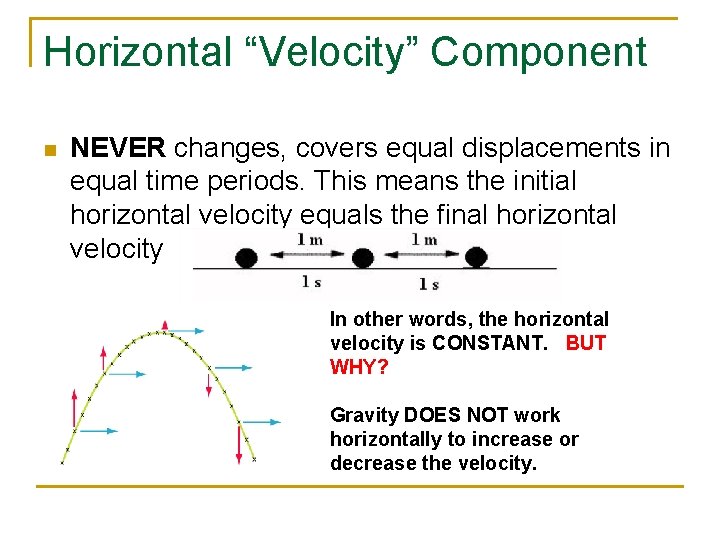Horizontal “Velocity” Component n NEVER changes, covers equal displacements in equal time periods. This