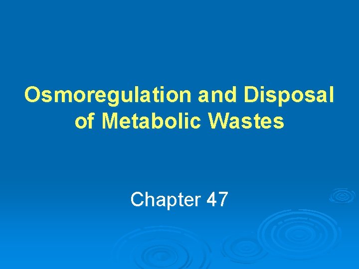 Osmoregulation and Disposal of Metabolic Wastes Chapter 47 