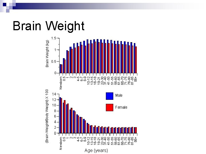 Brain Weight 