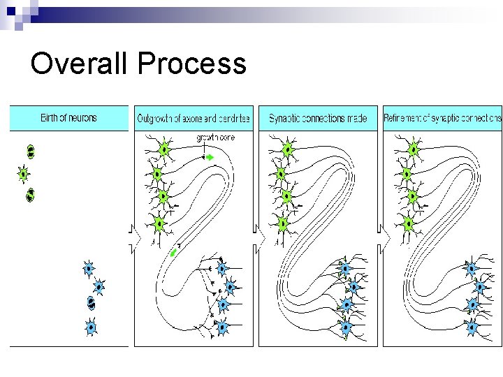 Overall Process 