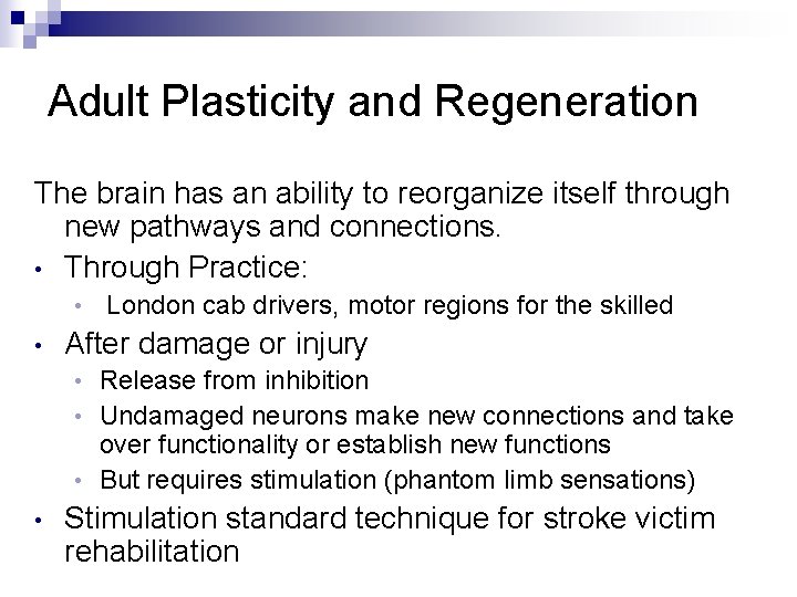 Adult Plasticity and Regeneration The brain has an ability to reorganize itself through new