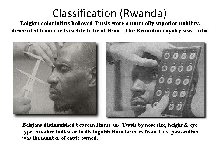 Classification (Rwanda) Belgian colonialists believed Tutsis were a naturally superior nobility, descended from the Classification (Rwanda) Belgian colonialists believed Tutsis were a naturally superior nobility, descended from the