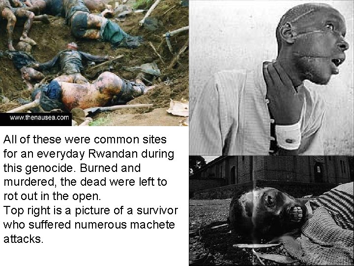 All of these were common sites for an everyday Rwandan during this genocide. Burned All of these were common sites for an everyday Rwandan during this genocide. Burned