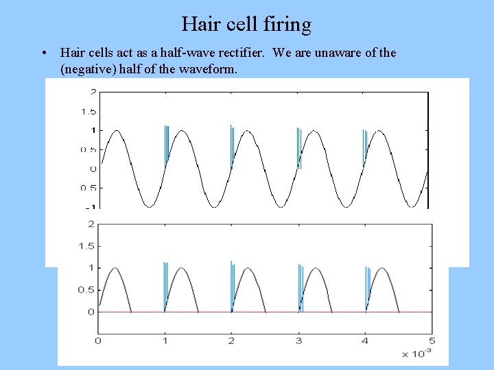 Hair cell firing • Hair cells act as a half-wave rectifier. We are unaware