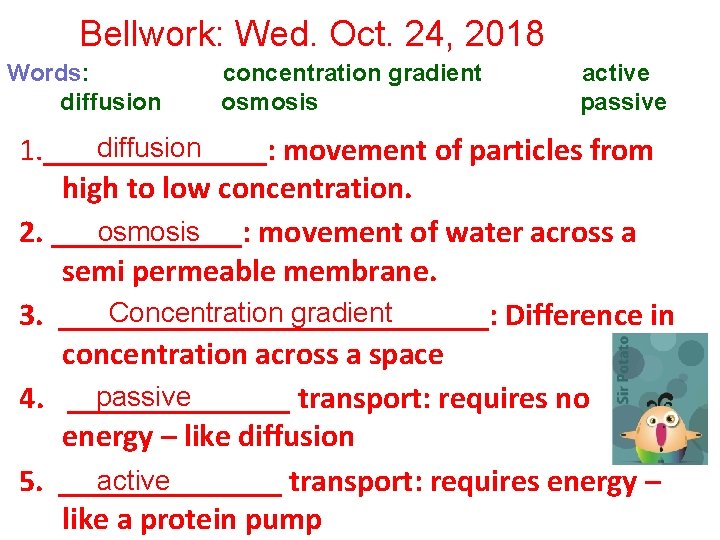 Bellwork: Wed. Oct. 24, 2018 Words: concentration gradient active diffusion osmosis passive diffusion 1.