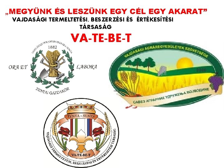  „MEGYÜNK ÉS LESZÜNK EGY CÉL EGY AKARAT” VAJDASÁGI TERMELTETÉSI, BESZERZÉSI ÉS ÉRTÉKESÍTÉSI TÁRSASÁG