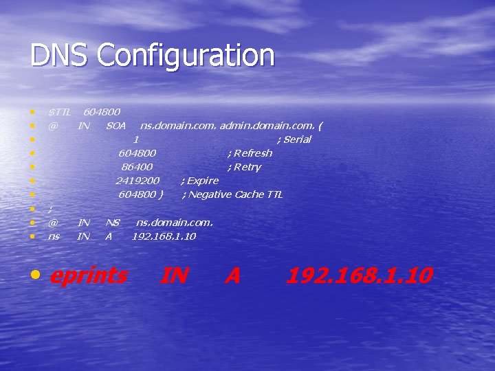 DNS Configuration • • • $TTL 604800 @ IN SOA ns. domain. com. admin.