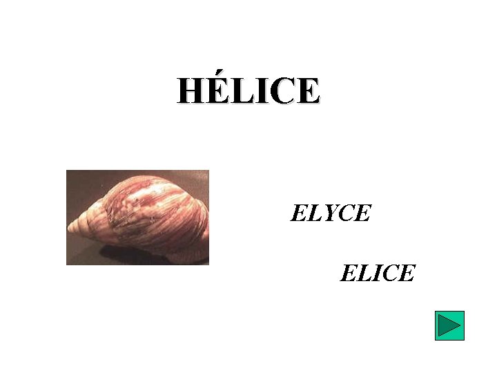 HÉLICE ELYCE ELICE 