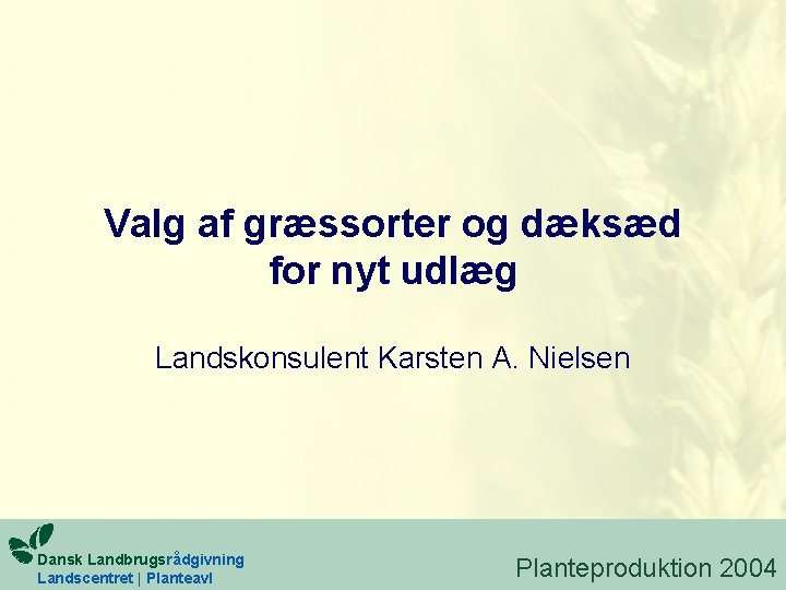 Valg af græssorter og dæksæd for nyt udlæg Landskonsulent Karsten A. Nielsen Dansk Landbrugsrådgivning Valg af græssorter og dæksæd for nyt udlæg Landskonsulent Karsten A. Nielsen Dansk Landbrugsrådgivning