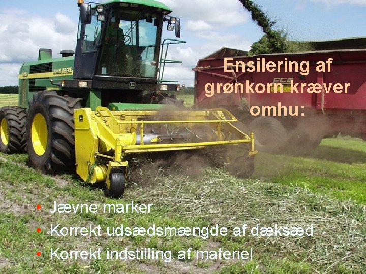 Ensilering af grønkorn kræver omhu: • Jævne marker • Korrekt udsædsmængde af dæksæd • Ensilering af grønkorn kræver omhu: • Jævne marker • Korrekt udsædsmængde af dæksæd •
