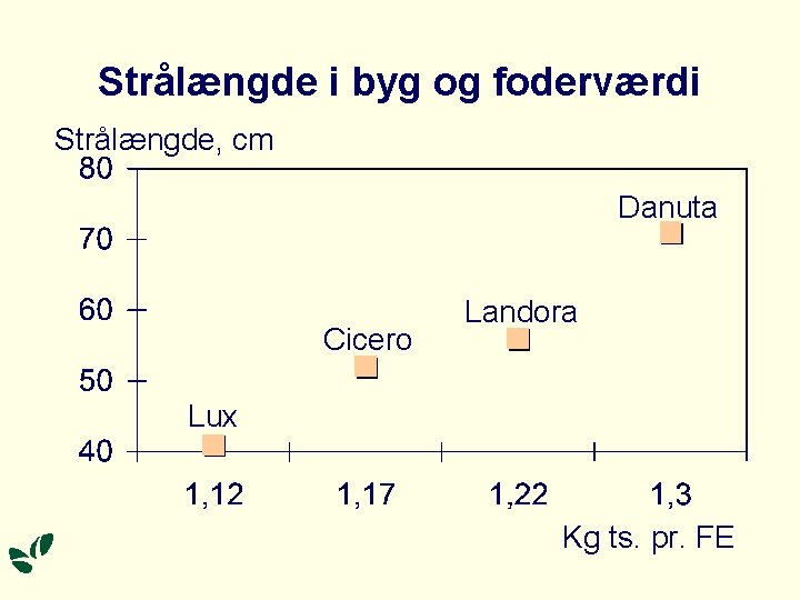 Strålængde i byg og foderværdi Strålængde, cm Danuta Cicero Landora Lux Kg ts. pr. Strålængde i byg og foderværdi Strålængde, cm Danuta Cicero Landora Lux Kg ts. pr.
