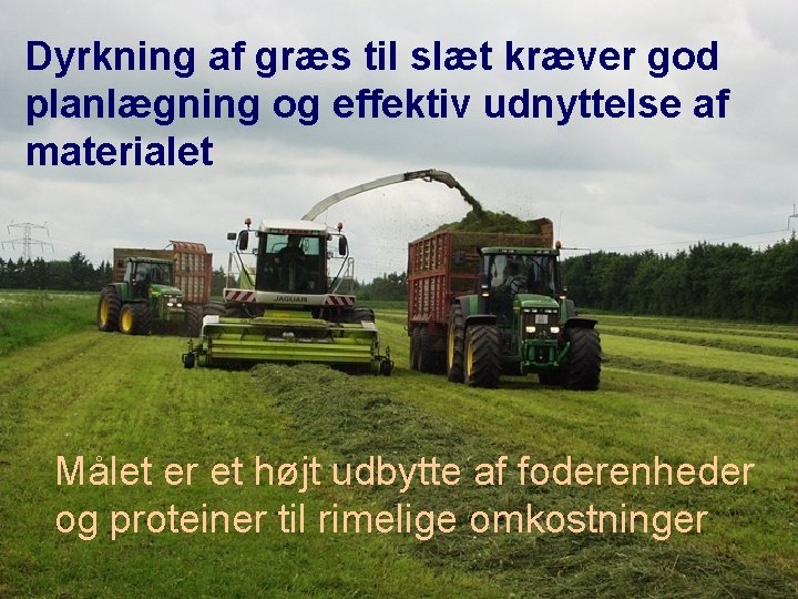 Dyrkning af græs til slæt kræver god planlægning og effektiv udnyttelse af materialet Målet Dyrkning af græs til slæt kræver god planlægning og effektiv udnyttelse af materialet Målet