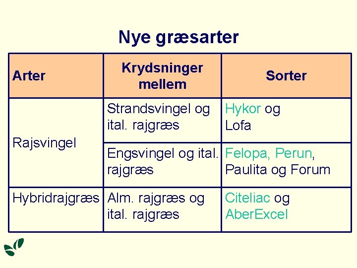 Nye græsarter Arter Krydsninger mellem Strandsvingel og ital. rajgræs Rajsvingel Sorter Hykor og Lofa Nye græsarter Arter Krydsninger mellem Strandsvingel og ital. rajgræs Rajsvingel Sorter Hykor og Lofa