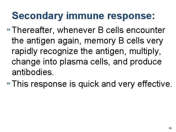 Secondary immune response: Thereafter, whenever B cells encounter the antigen again, memory B cells