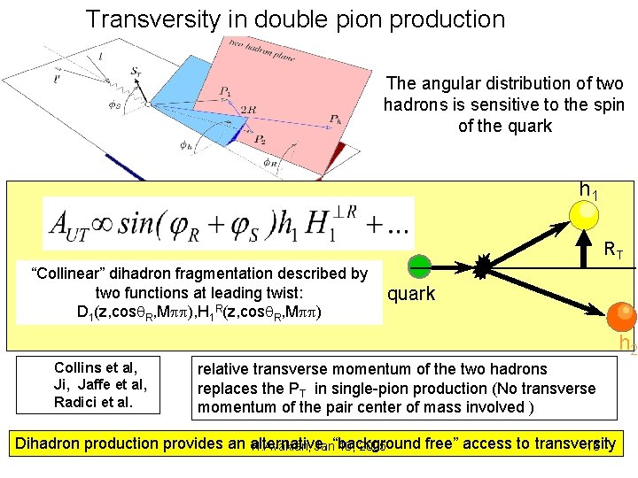 Transversity in double pion production The angular distribution of two hadrons is sensitive to