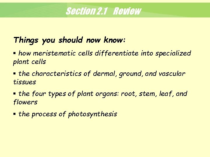 Section 2. 1 Review Things you should now know: § how meristematic cells differentiate