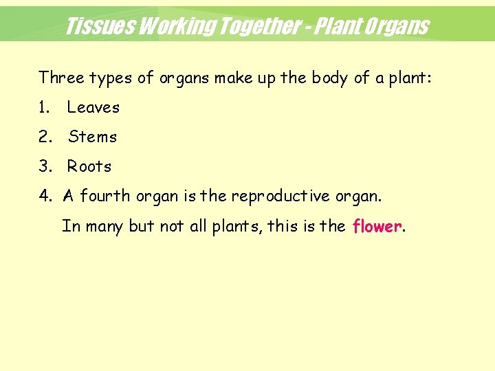 Tissues Working Together - Plant Organs Three types of organs make up the body