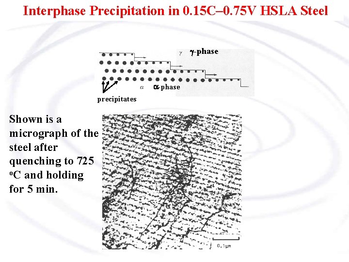 Interphase Precipitation in 0. 15 C– 0. 75 V HSLA Steel g-phase a-phase precipitates