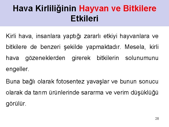 Hava Kirliliğinin Hayvan ve Bitkilere Etkileri Kirli hava, insanlara yaptığı zararlı etkiyi hayvanlara ve