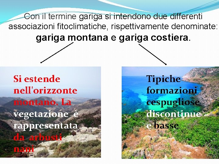 Con il termine gariga si intendono due differenti associazioni fitoclimatiche, rispettivamente denominate: gariga montana