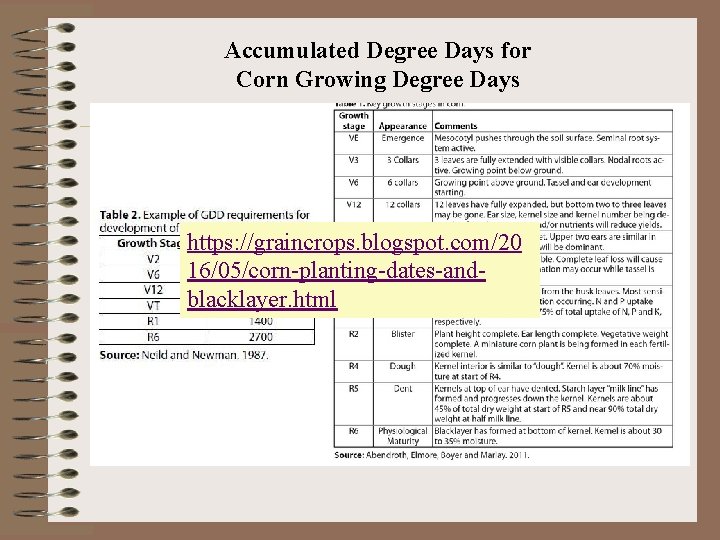 Accumulated Degree Days for Corn Growing Degree Days https: //graincrops. blogspot. com/20 16/05/corn-planting-dates-andblacklayer. html Accumulated Degree Days for Corn Growing Degree Days https: //graincrops. blogspot. com/20 16/05/corn-planting-dates-andblacklayer. html