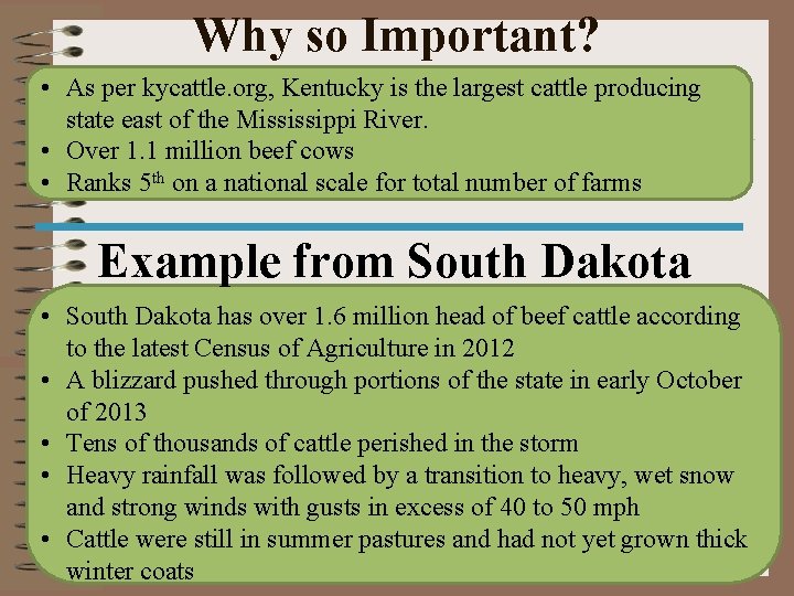 Why so Important? • As per kycattle. org, Kentucky is the largest cattle producing Why so Important? • As per kycattle. org, Kentucky is the largest cattle producing