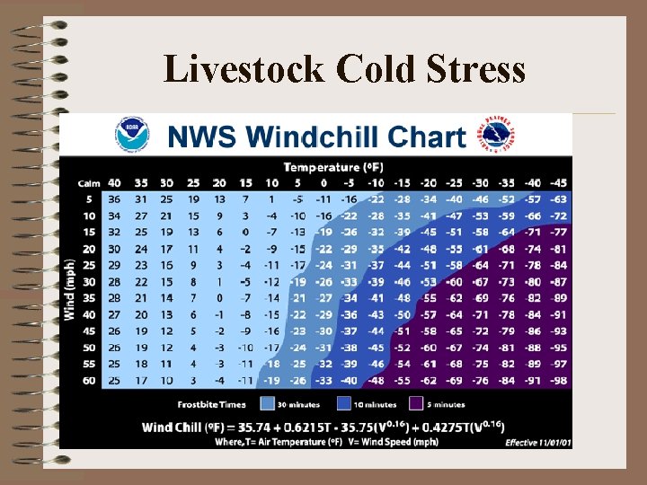 Livestock Cold Stress Livestock Cold Stress