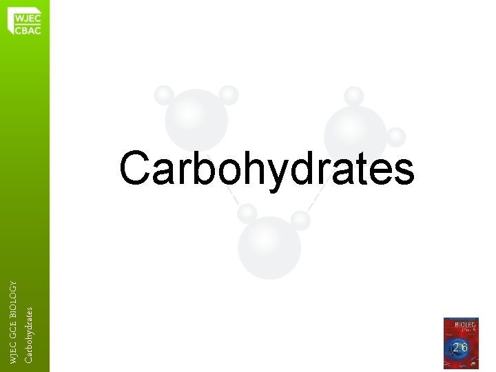 Carbohydrates WJEC GCE BIOLOGY Carbohydrates 2. 6 