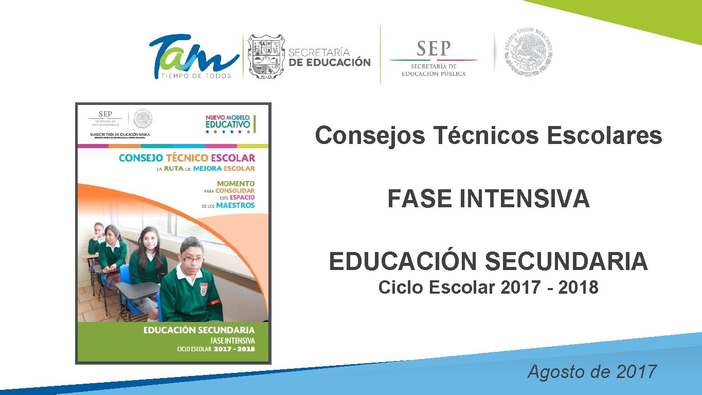 Consejos Técnicos Escolares FASE INTENSIVA EDUCACIÓN SECUNDARIA Ciclo Escolar 2017 - 2018 Agosto de