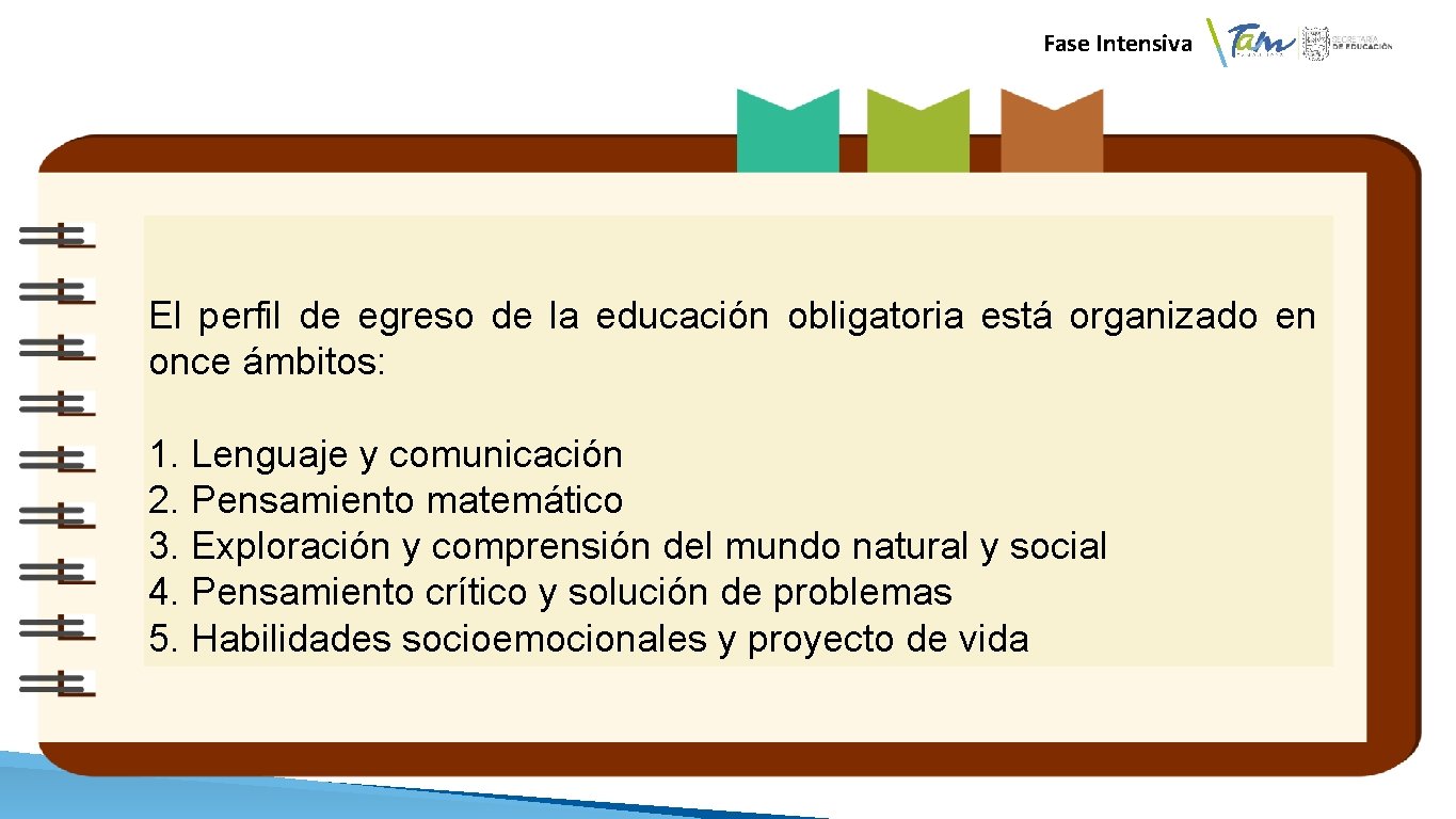  Fase Intensiva El perfil de egreso de la educación obligatoria está organizado en