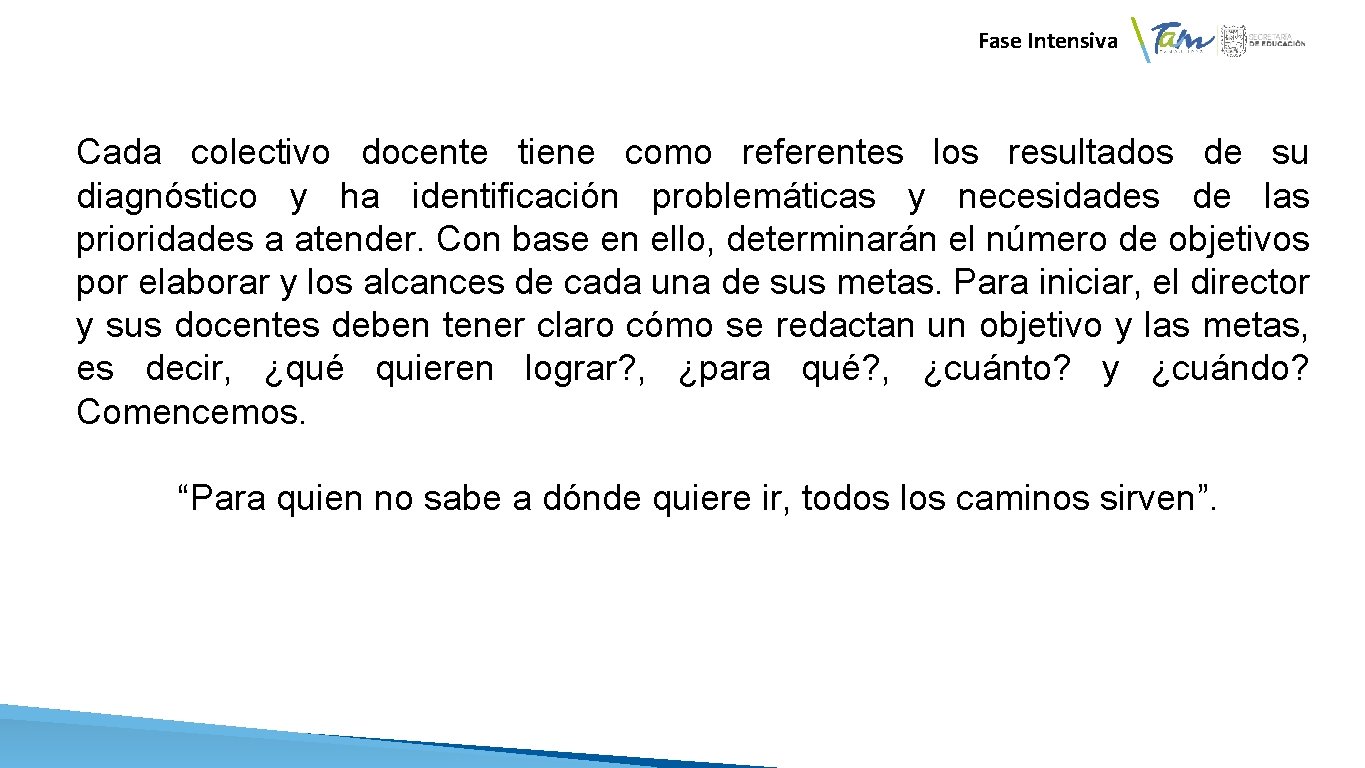 Fase Intensiva Cada colectivo docente tiene como referentes los resultados de su diagnóstico y