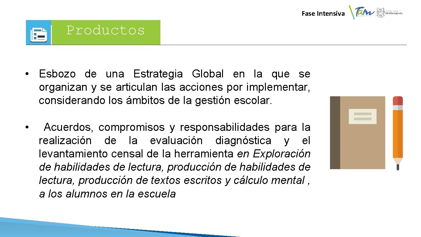 Fase Intensiva Productos • Esbozo de una Estrategia Global en la que se organizan