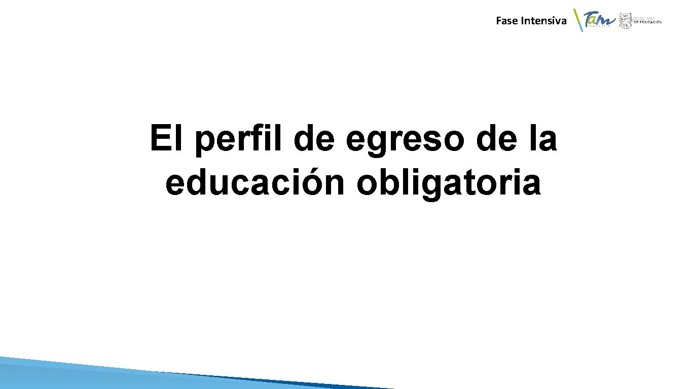 Fase Intensiva El perfil de egreso de la educación obligatoria 