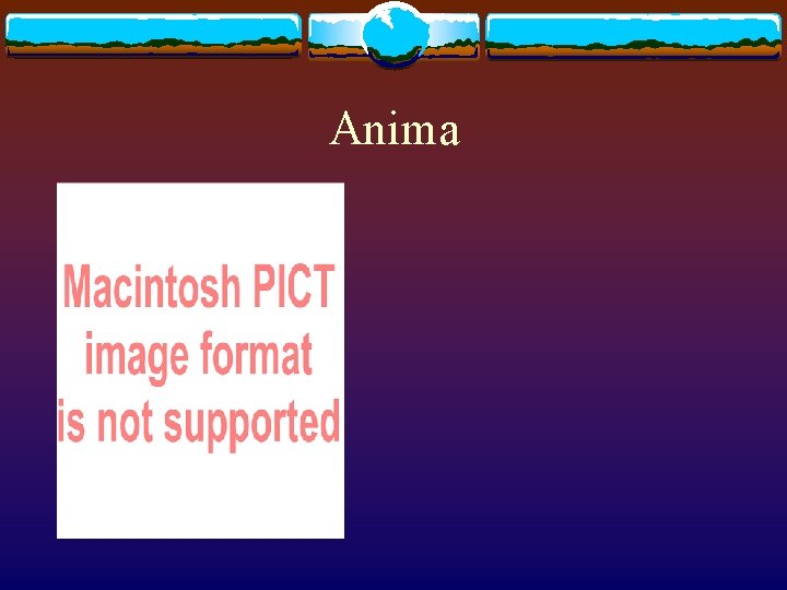Anima Anima