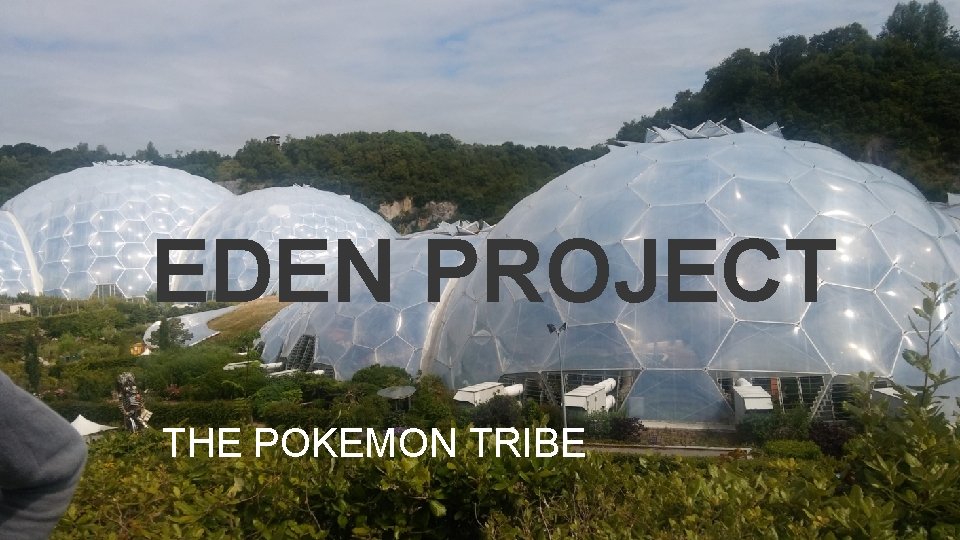 EDEN PROJECT THE POKEMON TRIBE 