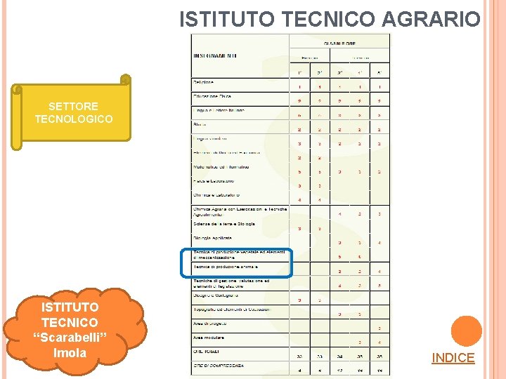 ISTITUTO TECNICO AGRARIO SETTORE TECNOLOGICO ISTITUTO TECNICO “Scarabelli” Imola INDICE 