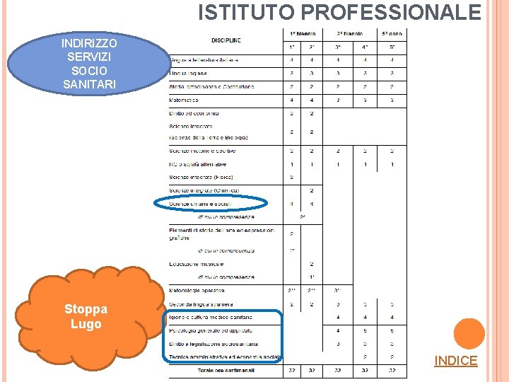 ISTITUTO PROFESSIONALE INDIRIZZO SERVIZI SOCIO SANITARI Stoppa Lugo INDICE 