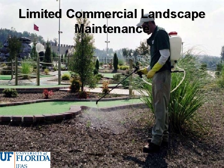 Limited Commercial Landscape Maintenance 