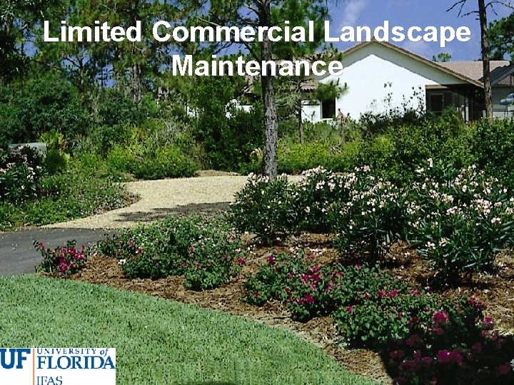 Limited Commercial Landscape Maintenance 