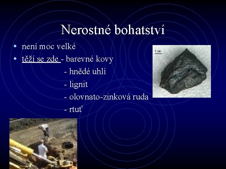 Nerostné bohatství • není moc velké • těží se zde - barevné kovy -