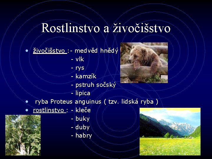 Rostlinstvo a živočišstvo • živočišstvo : - medvěd hnědý - vlk - rys -