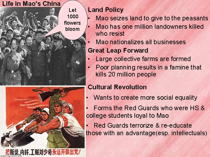 Life in Mao’s China Let 1000 flowers bloom Land Policy • Mao seizes land Life in Mao’s China Let 1000 flowers bloom Land Policy • Mao seizes land