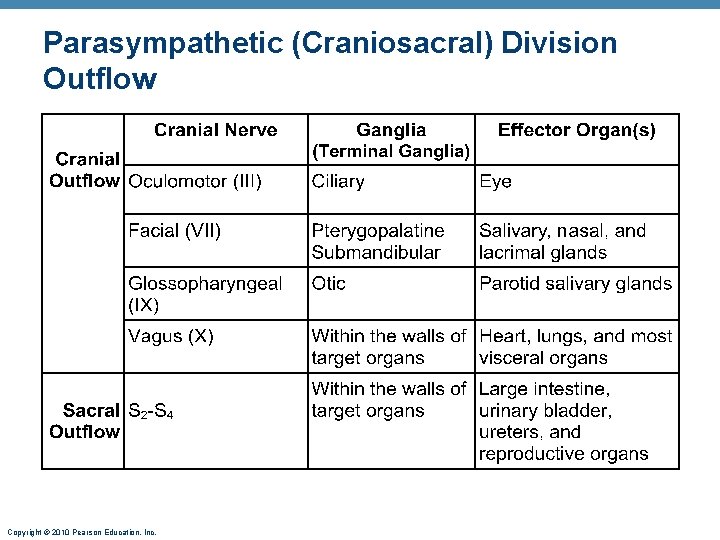 Parasympathetic (Craniosacral) Division Outflow Copyright © 2010 Pearson Education, Inc. 