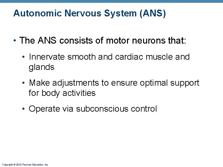 Autonomic Nervous System (ANS) • The ANS consists of motor neurons that: • Innervate